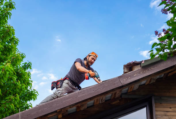 Best Roof Moss and Algae Removal  in Bismarck, MO