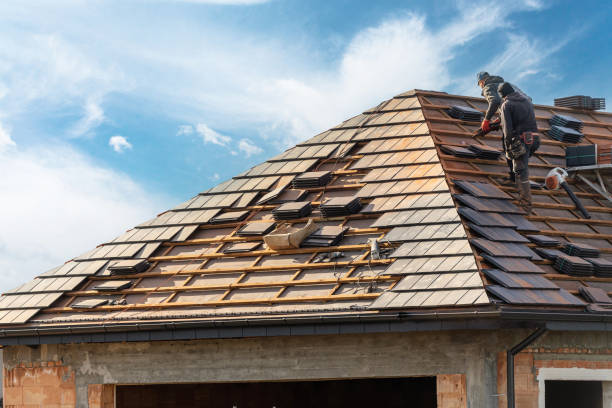 Best Gutter Replacement  in Bismarck, MO