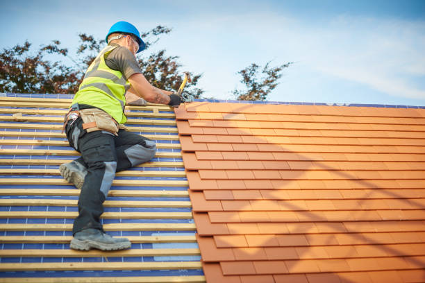 Best Sheet Metal Roofing  in Bismarck, MO